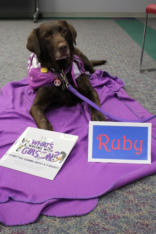 Ruby looking at epilepsy books.