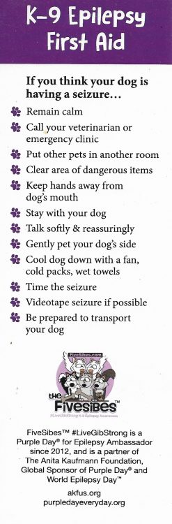 Seizure first aid for dogs