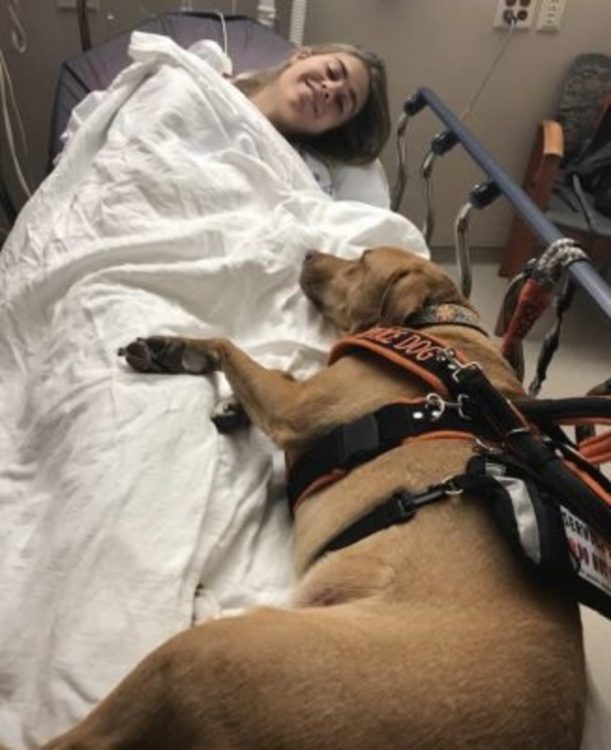 The author, a white woman with short brown hair, lies in a hospital bed covered by a sheet alongside her brown dog.