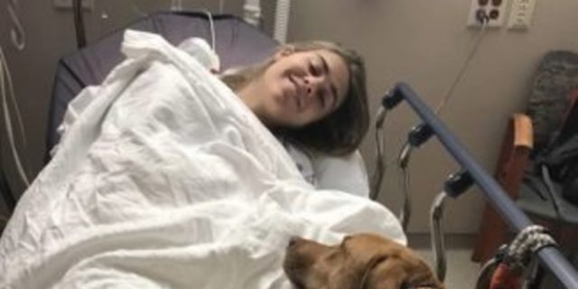 The author, a white woman with short brown hair, lies in a hospital bed covered by a sheet alongside her brown dog.