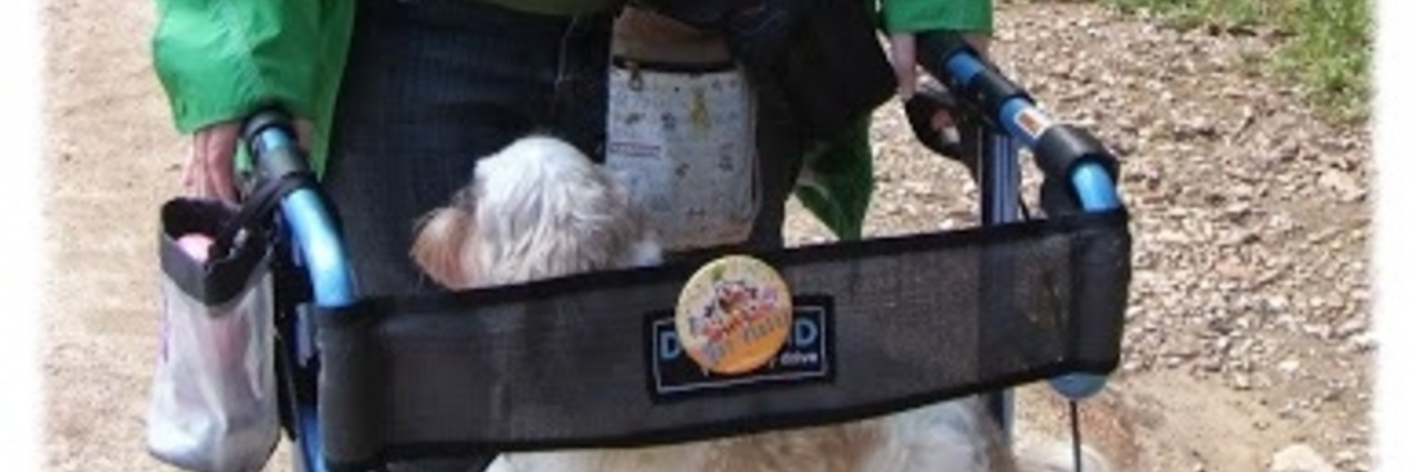 How Dogs Can Teach Us How to Treat People With Chronic Illness