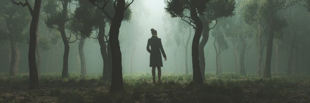 photo of a shadowy woman in a forest