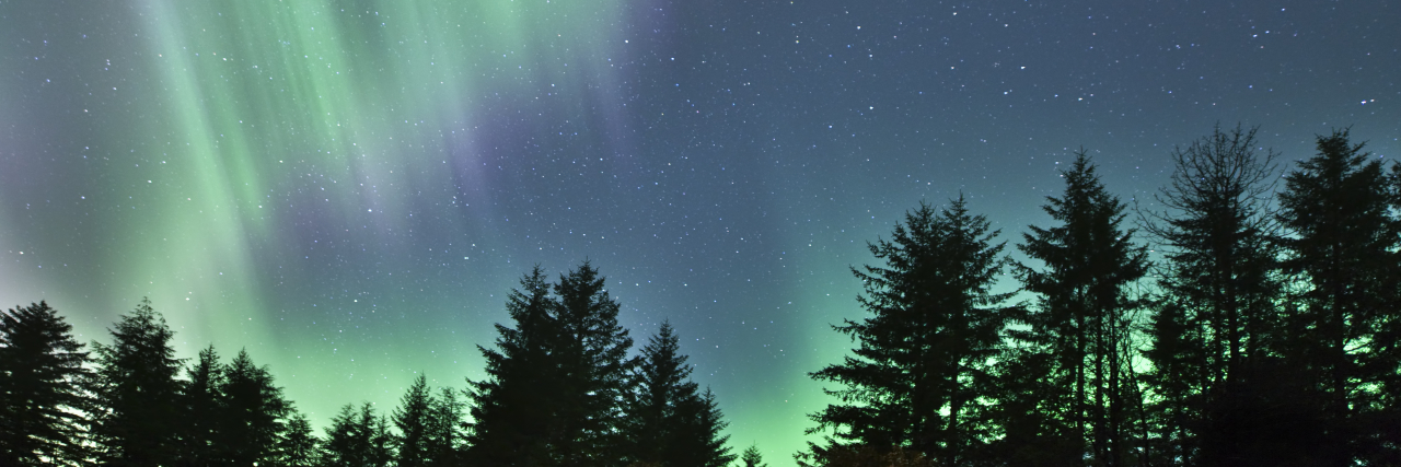 Finding Little Moments of Joy While Enduring CSF Leak Northern lights with a spruce forest