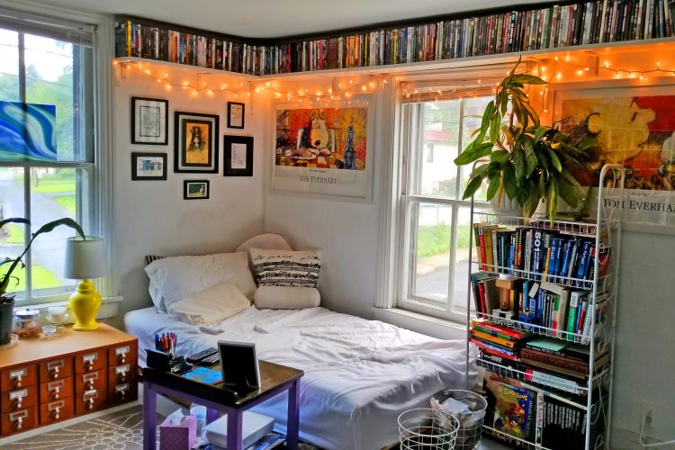 In a home office there's a bed and a desk near it, a bookshelf with different books and a plant on top. There are christmas lights along the ceiling.