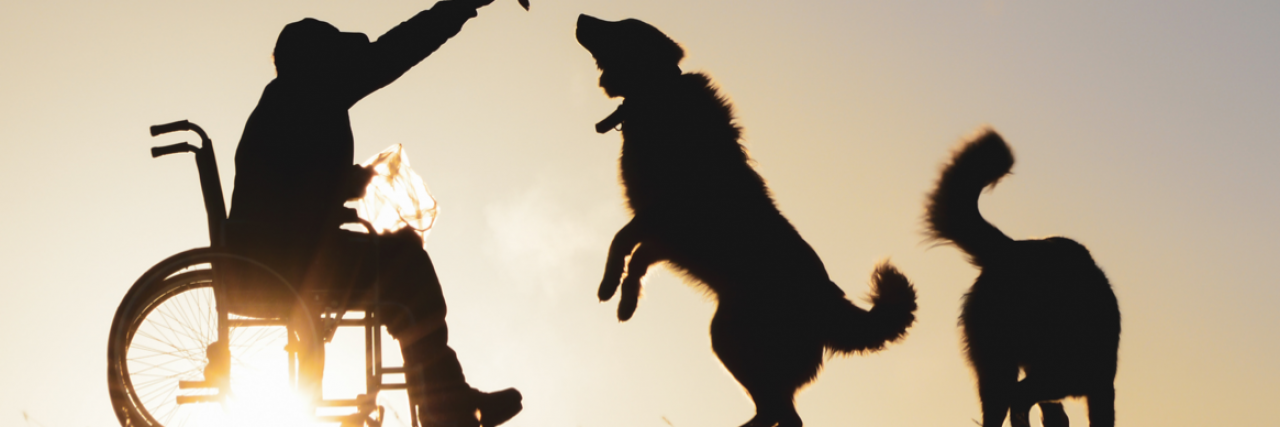 6 Questions People With Disabilities Should Ask Before Getting a Dog