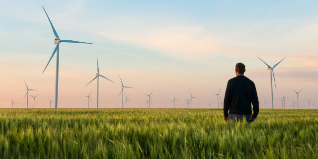photo of a man on a green field with windmills in the distance, climate change and climate anxiety concept