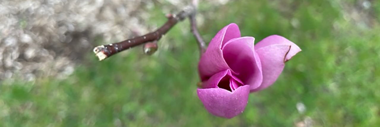 When It Feels Like You're Starting Over With Chronic Illness