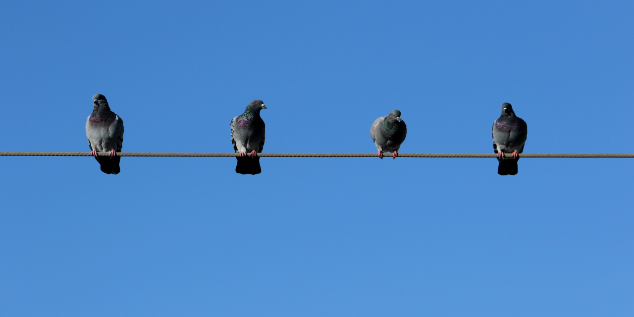 Why Having Ehlers-Danlos Syndrome Feels Like Being a Bird on a Wire