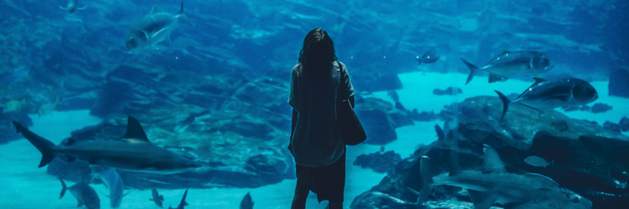 A woman stands on a platform and looks into a large aquarium display.