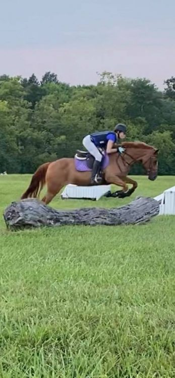 The author rides her horse while jumping over a log.