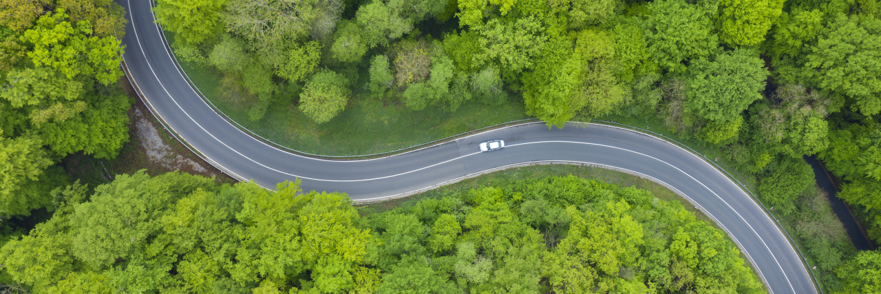 The Long and Winding Road of Stroke Recovery Winding rural road through a forest.