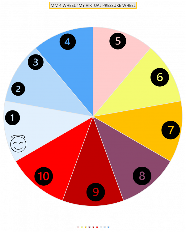 The author's M.V.P. Wheel.