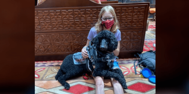 6 Things to Know When Bringing Your Service Dog to College Kenzie with her service dog, a poodle named Atlas.