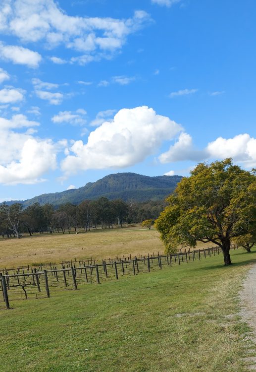 Beautiful view of blue sky, clouds, trees and pasture