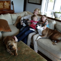 Mother and daughters sitting on sofa with pets dogs, watching TV together.
