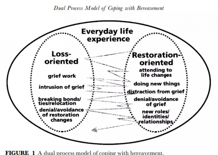 A diagram labeled Dual Process Model of Coping With Bereavement. A large circle is labeled Everyday life experience. In that circle are two ovals. The left is labeled "Loss-oriented" and the right "restoration oriented." Lines go between the two ovals to show how they interact. 