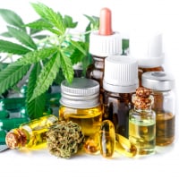 Green leaves of medicinal cannabis with extract oil.Medical marijuana flower buds. Hemp buds - medical marijuana