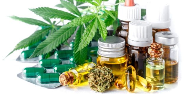 Using Marijuana for Migraine Relief: Does It Work? Green leaves of medicinal cannabis with extract oil.Medical marijuana flower buds. Hemp buds - medical marijuana