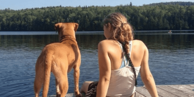 A golden yellow pit bull/vizsla mix and a girl with a ponytail sitting on the edge of a dock, looking out over a lake