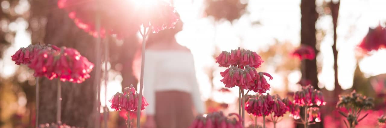 Pink flowers in foreground with hazy image of woman and trees behind