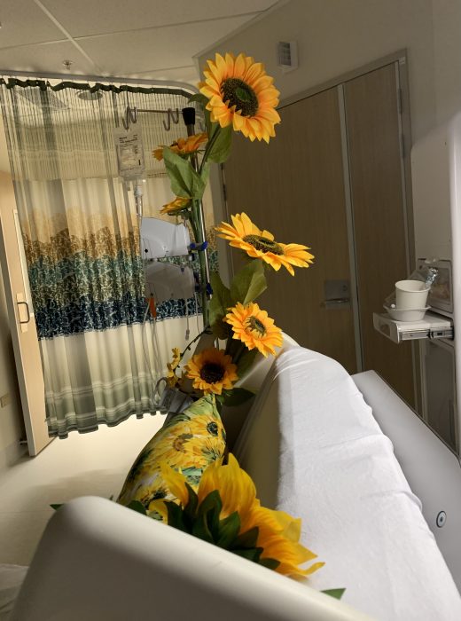 Sunflowers in contributor's hospital room