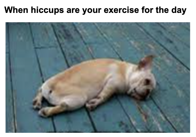 A small dog laying flat on the ground with the words "hiccups are your exercise for the day"