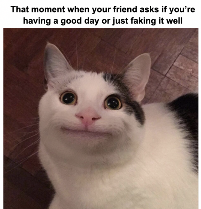 Photo of cat with strange smile with the words "That moment when your friend asks if you are having a good day or just faking it well"