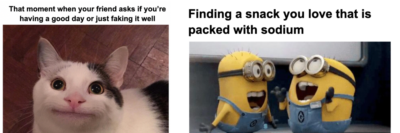 17 POTS Memes That Make Me Smile Two memes: Photo of cat with strange smile with the words "That moment when your friend asks if you are having a good day or just faking it well"; and Minions rejoicing with words "Finding a snack you love that is packed with sodium"