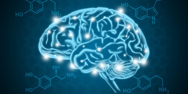 Boosting the Brain: How to Increase Dopamine for ADHD Management Human brain illustration with areas lit up and hormone biochemical (serotonin, dopamine, and norepinephrine) background