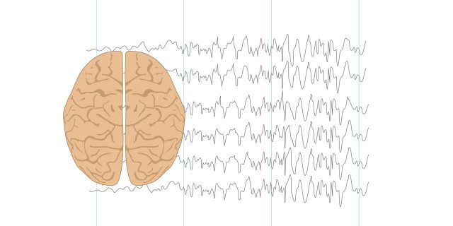 Illustration of human brain and brain waves