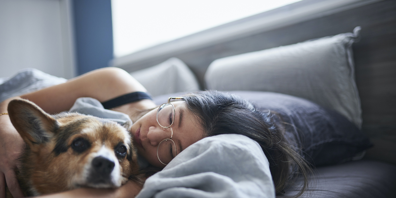 Can Dogs Sense Sadness? Canine Emotional Intelligence