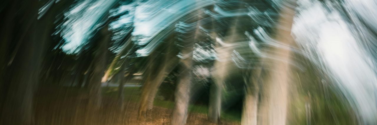 Dizzying image of the woods