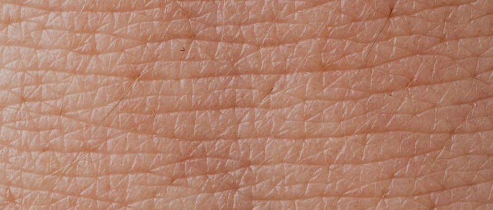 close up of skin
