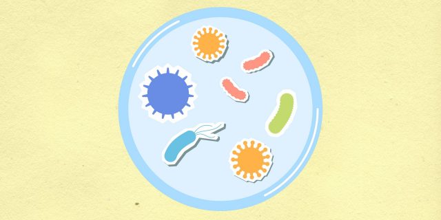 'Subtle' Signs Of Salmonella: What Easy-To-Miss Symptoms Actually Look Like salmonella petri dish